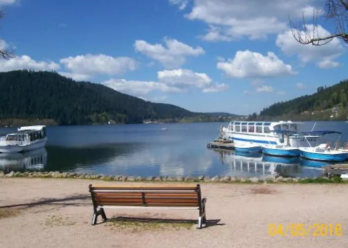 Warm 29m With Balcony And View Gérardmer